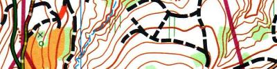 2. MTBO Austria Cup (2025-04-27)