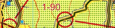 WMMTBOC Middle Distance (2025-05-01)