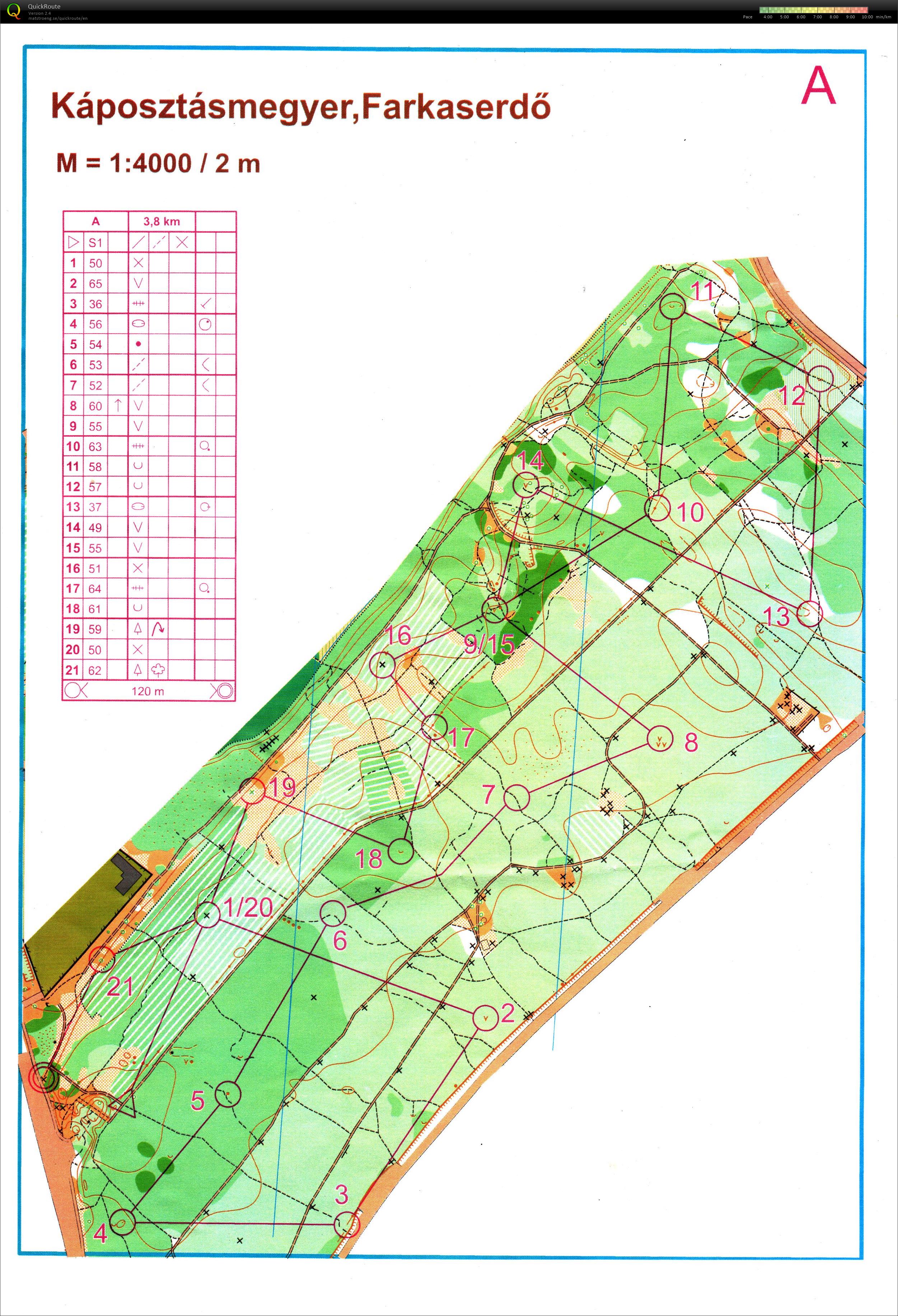 Silvanus téli edzéssorozat 5. (2025-12-21)