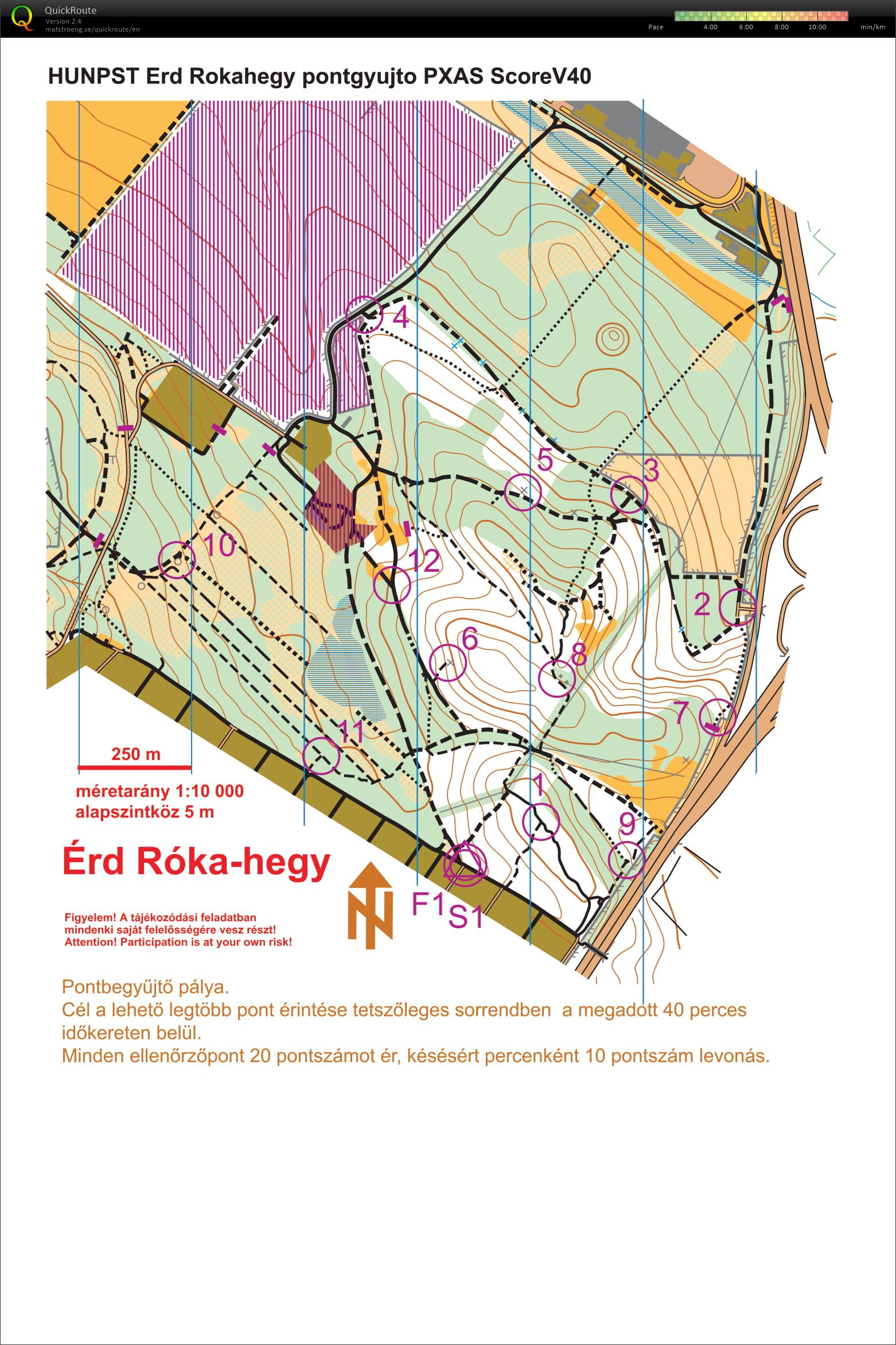 maprun: HUNPST Erd Rokahegy pontgyujto (2020-10-28)