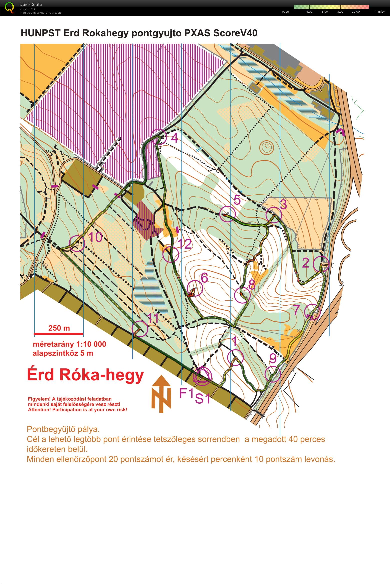 maprun: HUNPST Erd Rokahegy pontgyujto (2020-10-28)