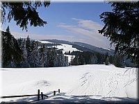 P1010115.jpg