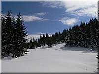 P1010194.jpg